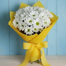 Букет цветов из:  Хризантемы #REPLACE_PRED# Мохсоголлохе