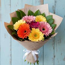Букет цветов из:  Герберы #REPLACE_PRED# Мохсоголлохе