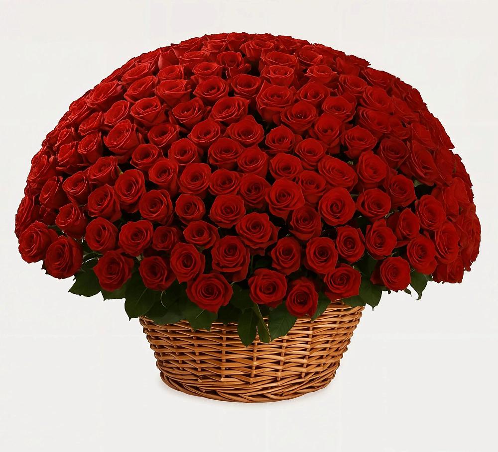 Премиум букет из: Розы в Мохсоголлохе