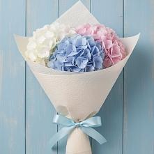 Букет цветов из:  Гортензия в Мохсоголлохе