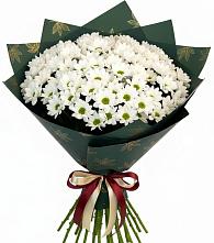 Букет цветов из:  Хризантемы в Мохсоголлохе