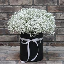Цветочная композиция из Гипсофила в шляпной коробке #REPLACE_PRED# Мохсоголлохе