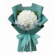 Букет цветов из:  Гортензия в Мохсоголлохе